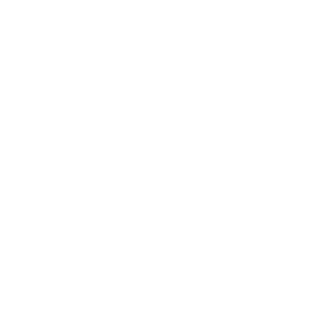 MCP Connector logo